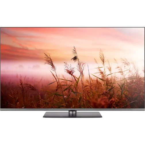 Panasonic TV-50W83AE6